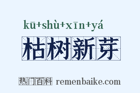 枯树新芽是什么意思的图片